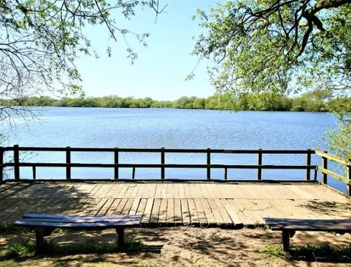 Lake River Landscape Nature